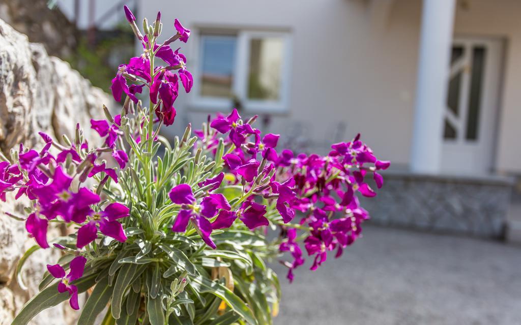 Apartment Ana Polje  Zewnętrze zdjęcie